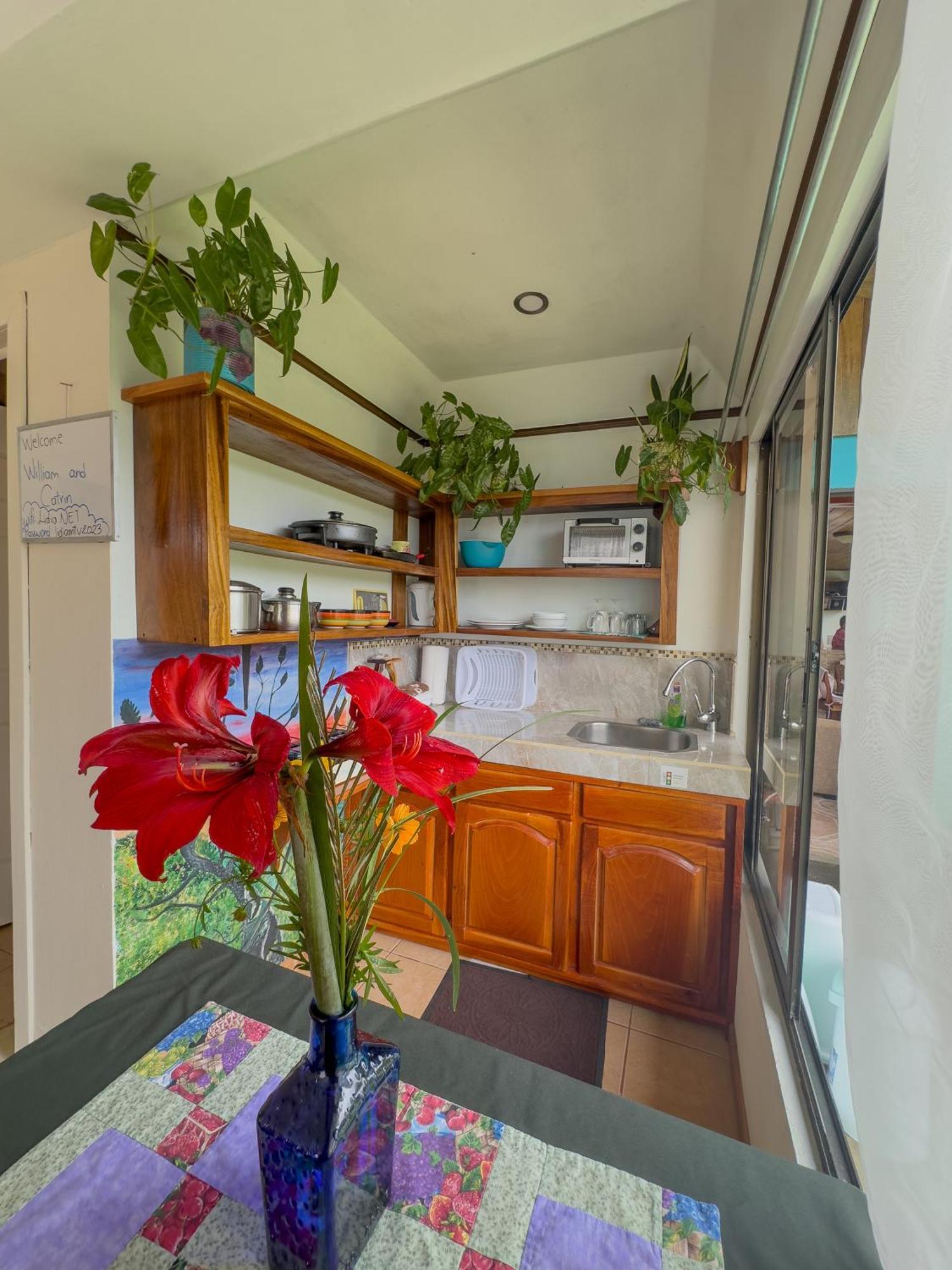 Lidia'S Mountain View Vacation Homes Monteverde Bagian luar foto